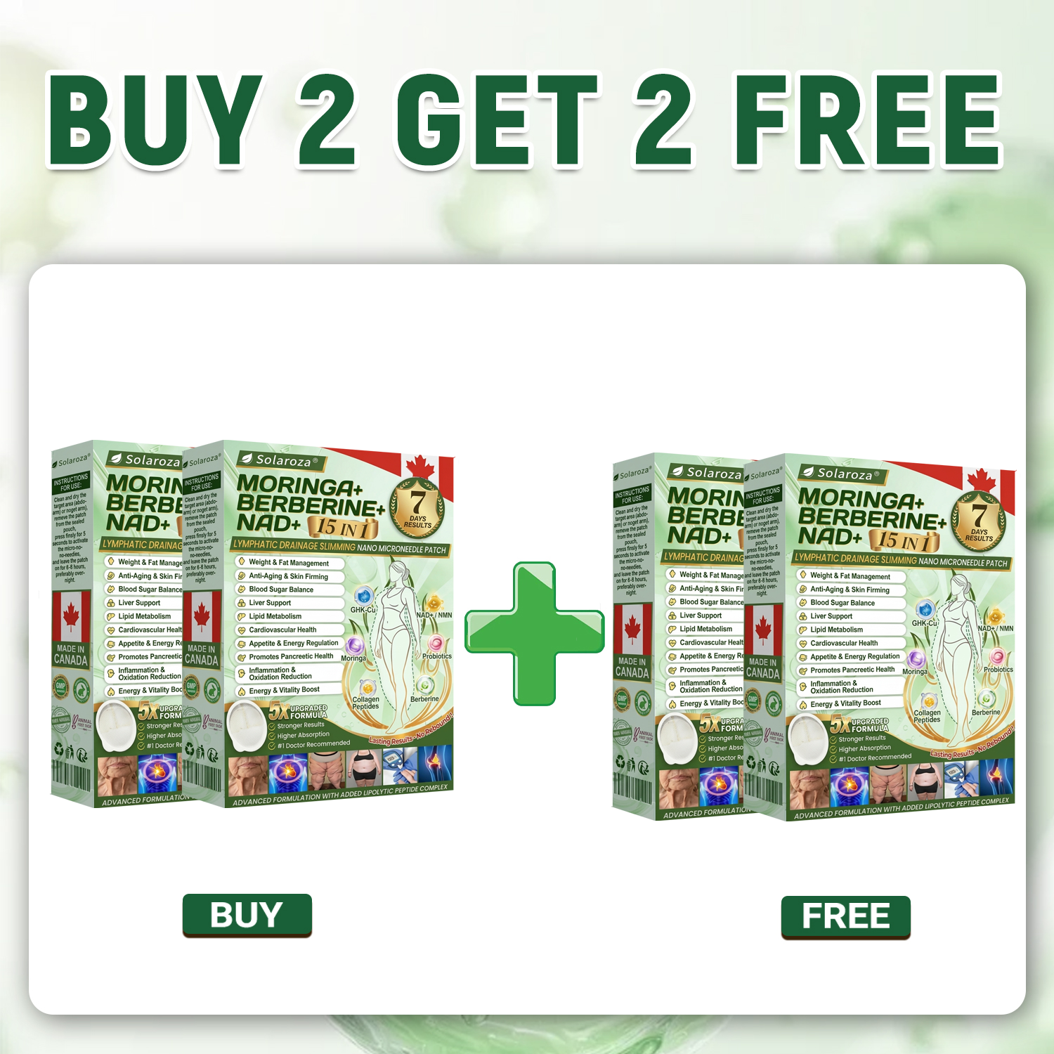 4 Boxes — 1-Month Plan (Best Seller)—Lose up to 40lbs